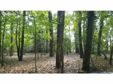 terrain arboré à bâtir mignaloux-beauvoir