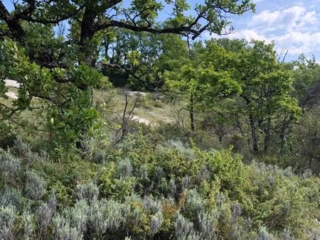 parcelle de terrain