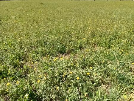 terrain à batir