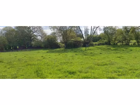 vente terrain 1503 m² à roncherolles-en-bray (76440)  48 000 €