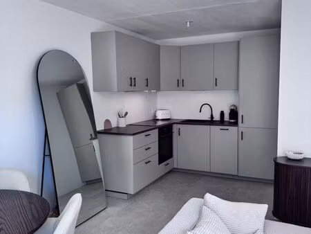magnifique t2 42 m² rénové à neuf – balcon aménagé – parking – ascenseur