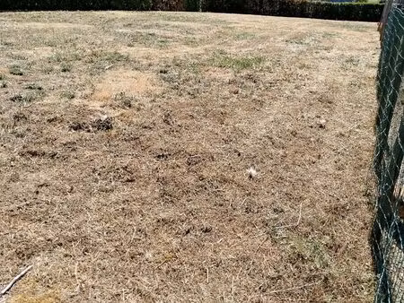 terrain à bâtir