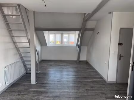 joli duplex proche centre-ville - chu