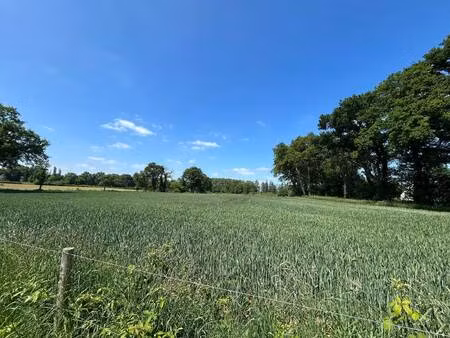 terrain constructible viabilisé à vendre