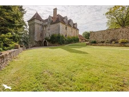 château à vendre