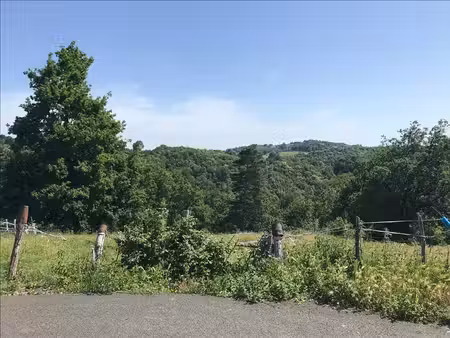 terrain