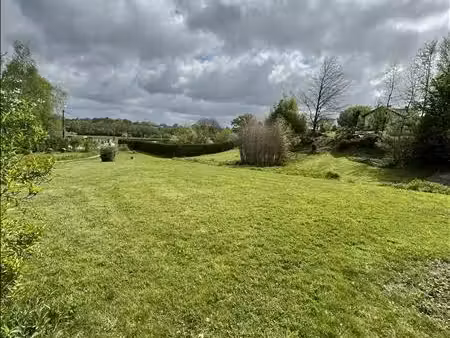 terrain