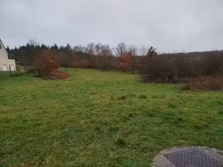 terrain
