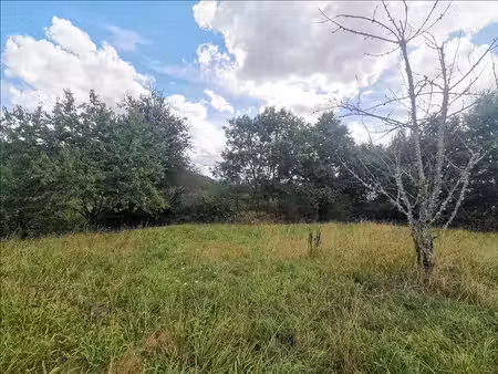 terrain