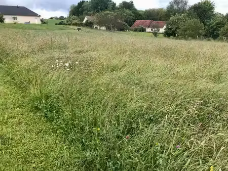 terrain