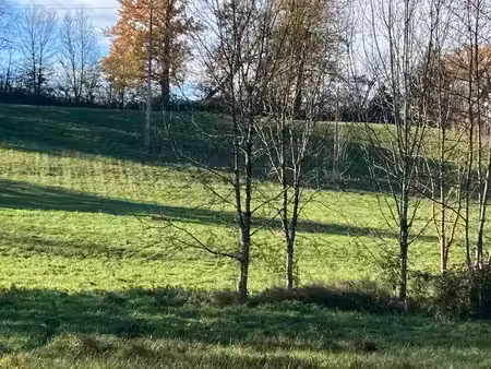 terrain