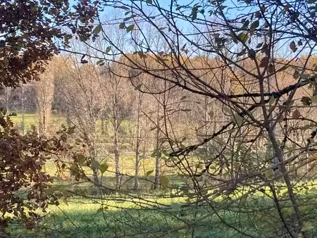 terrain