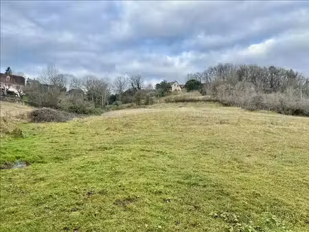 terrain