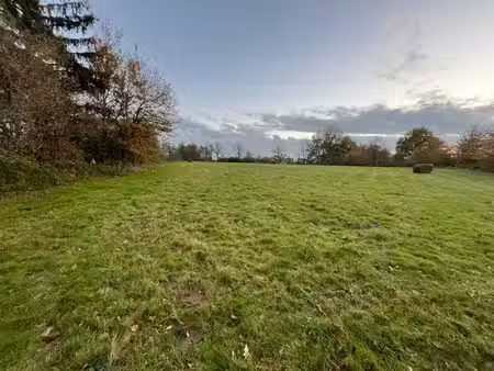 terrain