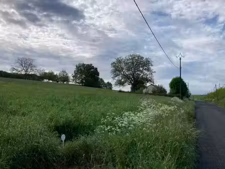 terrain