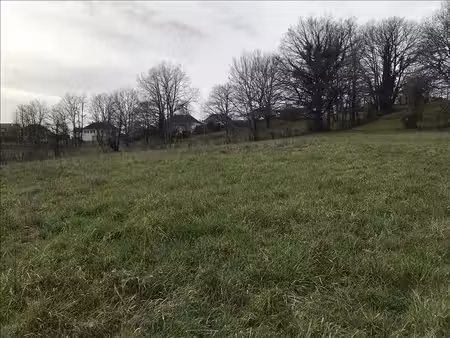 terrain