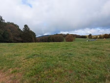 terrain à vendre