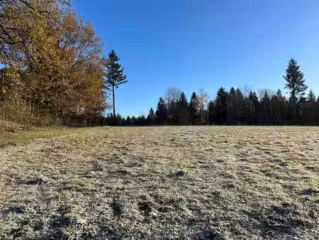 terrain