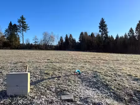 terrain