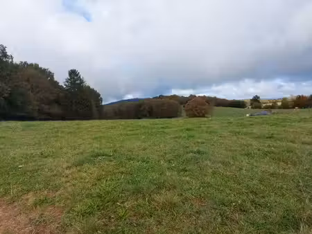 terrain