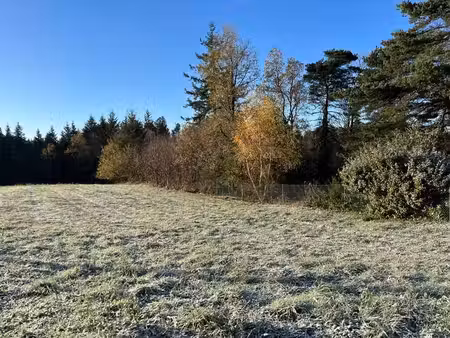 terrain