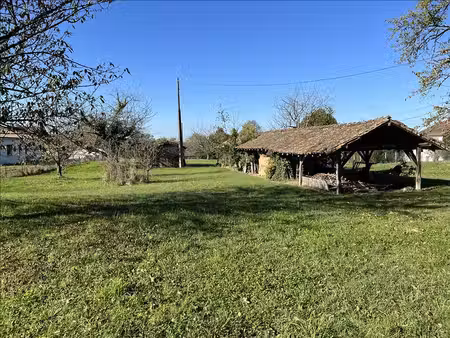 terrain