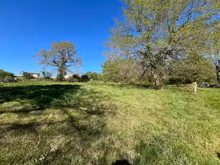 terrain
