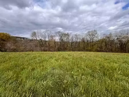 terrain