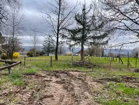 terrain