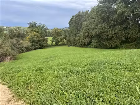 terrain
