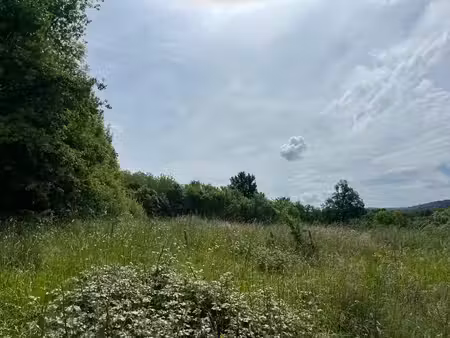 terrain