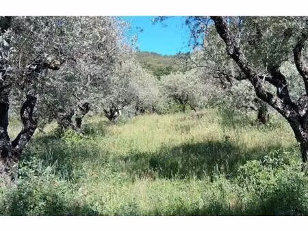 magnifique terrain de 2000m2 avec permis accepté et purgé