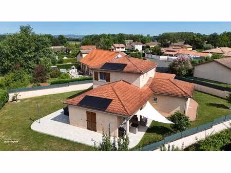 maison familiale 4 chambres centre grièges sur joli terrain clos