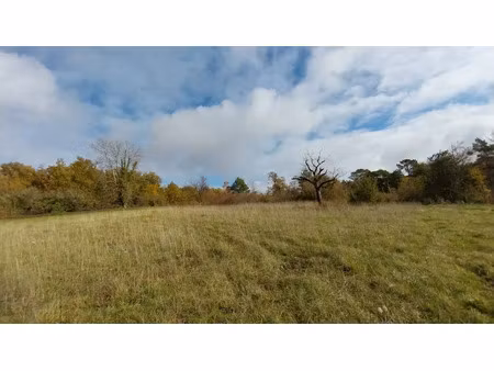 vente terrain 1500 m² à atur (24750)  54 000 €