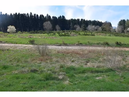 vente terrain 1018 m² à dunières (43220)  61 000 €