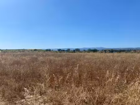 vente terrain 400 m² à olonzac (34210)  65 000 €