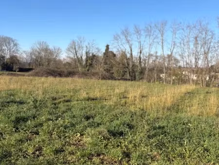 vente terrain 1000 m² à branne (33420)  73 000 €