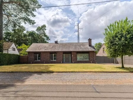 maison à vendre à beringen € 398.000 (lqhrw) - willem cauwels real estate | zimmo