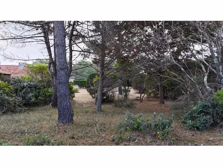vente terrain 450 m² à lacanau (33680)  450 000 €