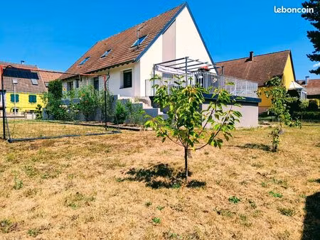 maison contemporaine horbourg wihr + studio