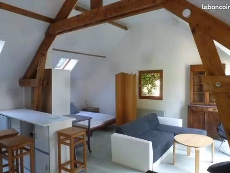loft/atelier/surface 1 pièce 45 m²