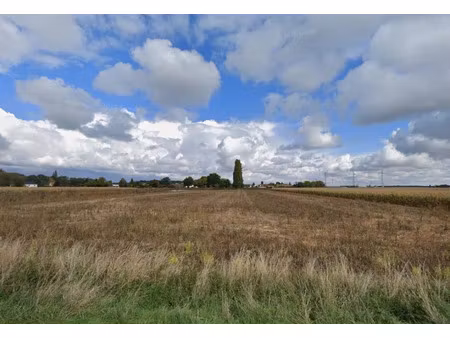 vente terrain 175 m² à la norville (91290)  99 000 €