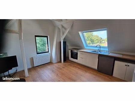 logement meublé robertsau