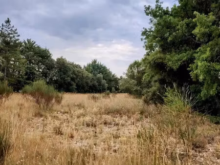 vente terrain 4198 m² à murs (84220)  130 000 €