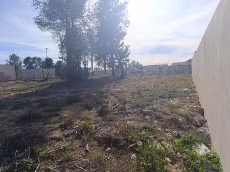 vente terrain 379 m² à saint-clément-de-rivière (34980)  195 000 €
