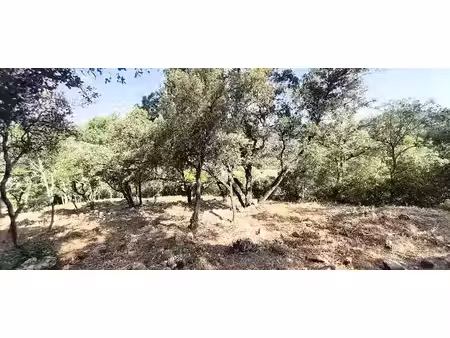 vente terrain 2302 m² à solliès-toucas (83210)  225 000 €