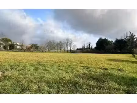 terrain