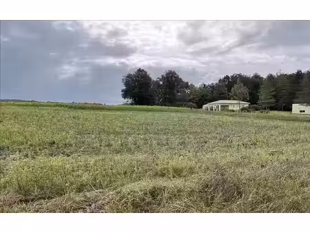 terrain