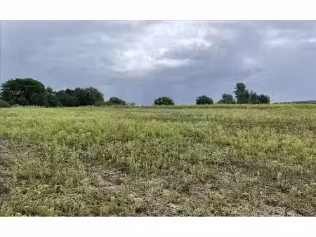 terrain