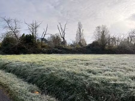 terrain à vendre